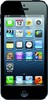 Apple iPhone 5 16GB - Сосновый Бор